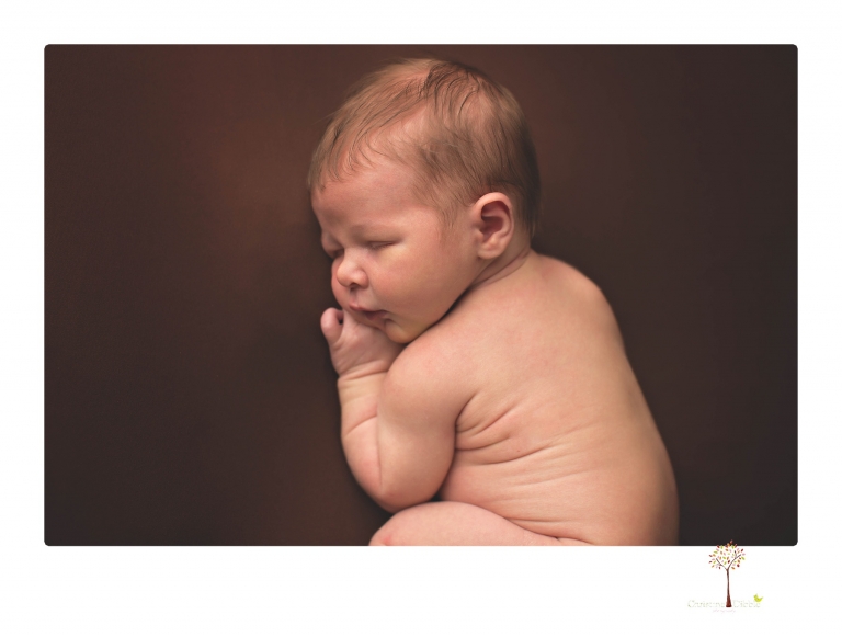 Best Sonora newborn photographer Christine Dibble Photography takes studio newborn portraits of a baby boy as he sleeps in wraps and buckets with a color scheme of blues and browns.
