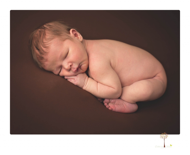 Best Sonora newborn photographer Christine Dibble Photography takes studio newborn portraits of a baby boy as he sleeps in wraps and buckets with a color scheme of blues and browns.