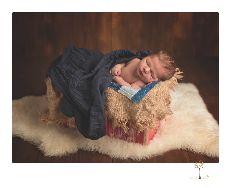 Best Sonora newborn photographer Christine Dibble Photography takes studio newborn portraits of a baby boy as he sleeps in wraps and buckets with a color scheme of blues and browns.