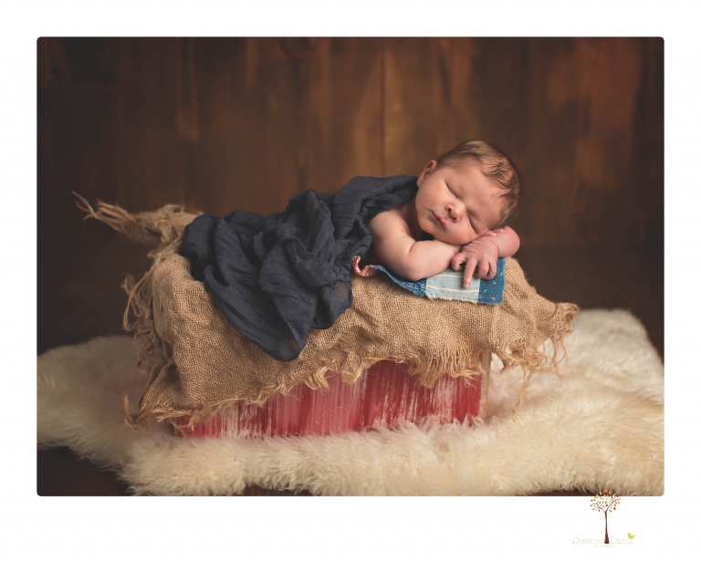 Best Sonora newborn photographer Christine Dibble Photography takes studio newborn portraits of a baby boy as he sleeps in wraps and buckets with a color scheme of blues and browns.