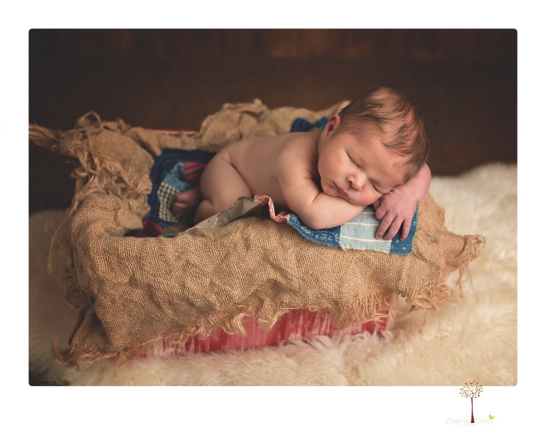 Best Sonora newborn photographer Christine Dibble Photography takes studio newborn portraits of a baby boy as he sleeps in wraps and buckets with a color scheme of blues and browns.