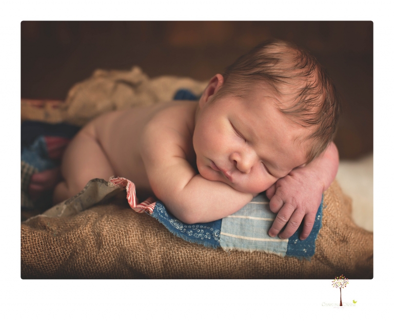 Best Sonora newborn photographer Christine Dibble Photography takes studio newborn portraits of a baby boy as he sleeps in wraps and buckets with a color scheme of blues and browns.
