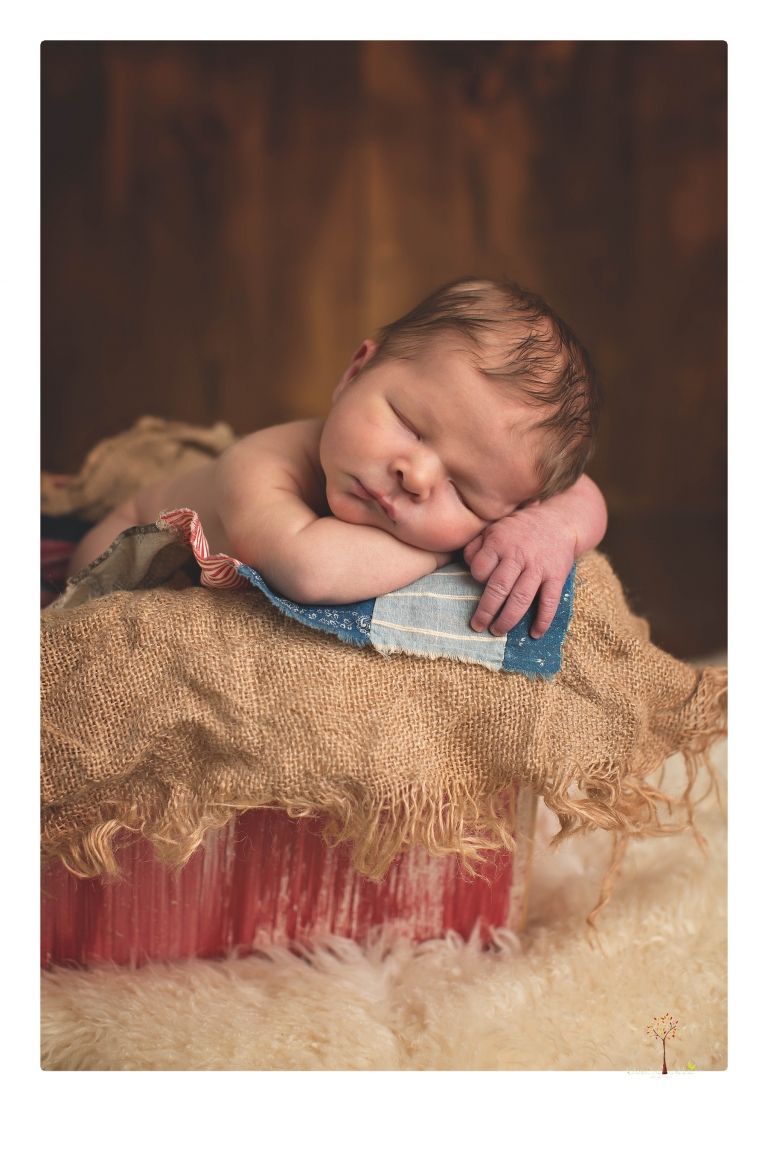 Best Sonora newborn photographer Christine Dibble Photography takes studio newborn portraits of a baby boy as he sleeps in wraps and buckets with a color scheme of blues and browns.