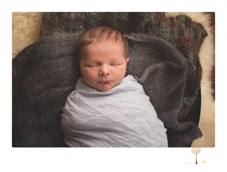 Best Sonora newborn photographer Christine Dibble Photography takes studio newborn portraits of a baby boy as he sleeps in wraps and buckets with a color scheme of blues and browns.