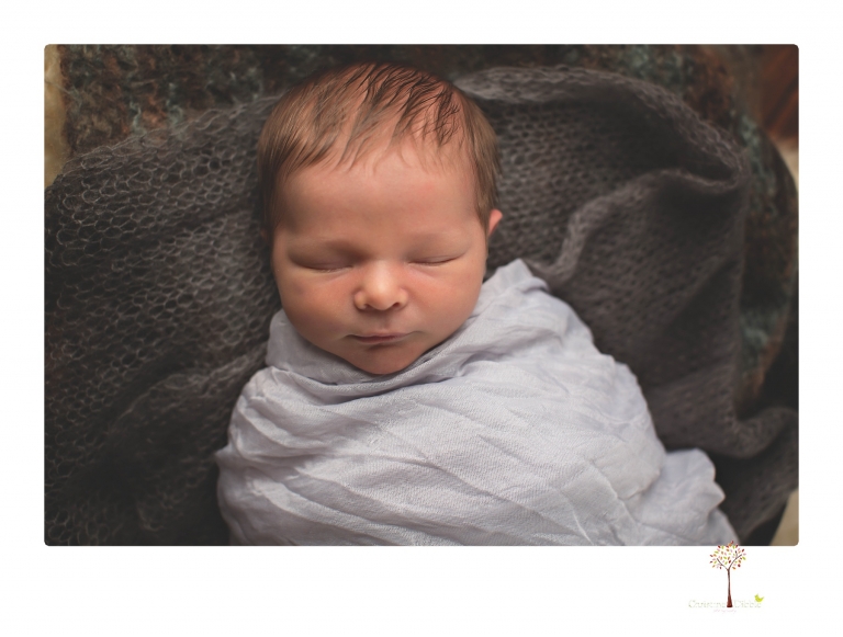 Best Sonora newborn photographer Christine Dibble Photography takes studio newborn portraits of a baby boy as he sleeps in wraps and buckets with a color scheme of blues and browns.