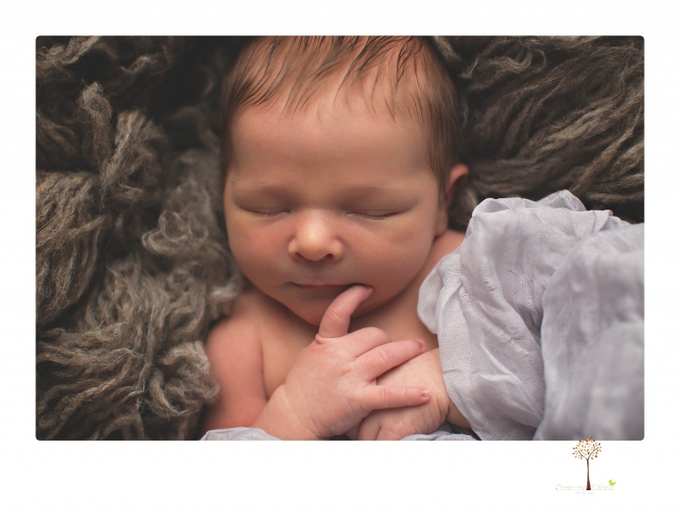 Best Sonora newborn photographer Christine Dibble Photography takes studio newborn portraits of a baby boy as he sleeps in wraps and buckets with a color scheme of blues and browns.