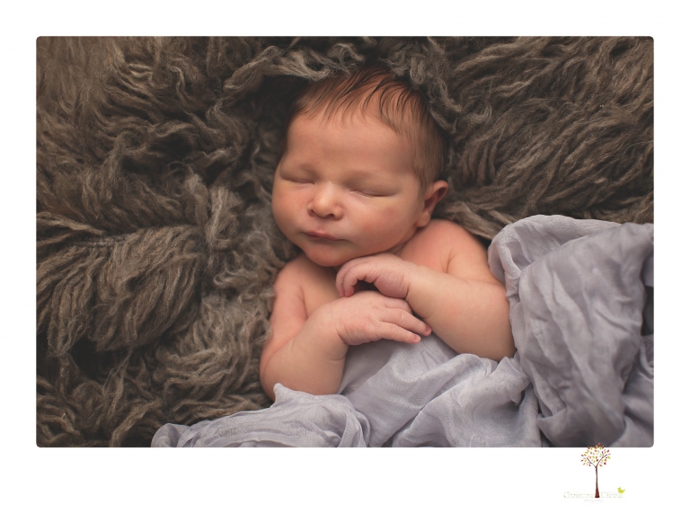 Best Sonora newborn photographer Christine Dibble Photography takes studio newborn portraits of a baby boy as he sleeps in wraps and buckets with a color scheme of blues and browns.