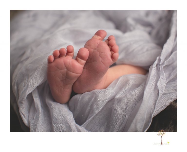 Best Sonora newborn photographer Christine Dibble Photography takes studio newborn portraits of a baby boy as he sleeps in wraps and buckets with a color scheme of blues and browns.