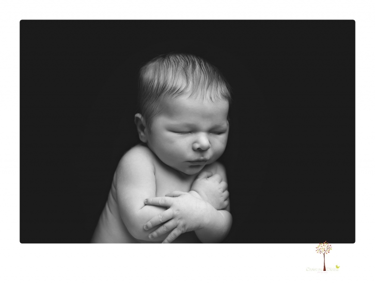 Best Sonora newborn photographer Christine Dibble Photography takes studio newborn portraits of a baby boy as he sleeps in wraps and buckets with a color scheme of blues and browns.