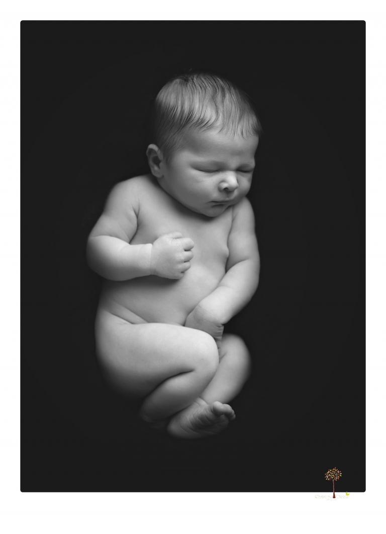 Best Sonora newborn photographer Christine Dibble Photography takes studio newborn portraits of a baby boy as he sleeps in wraps and buckets with a color scheme of blues and browns.