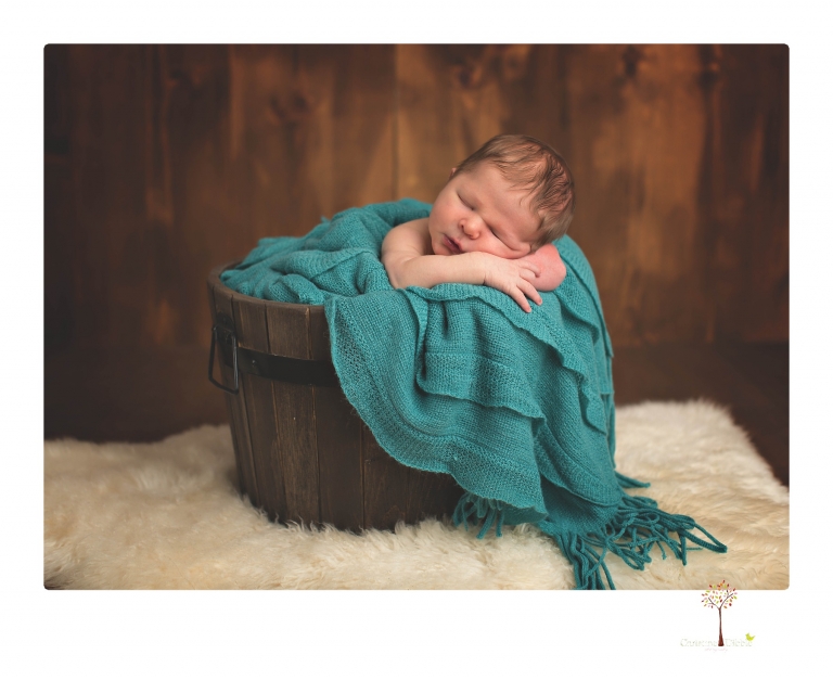Best Sonora newborn photographer Christine Dibble Photography takes studio newborn portraits of a baby boy as he sleeps in wraps and buckets with a color scheme of blues and browns.