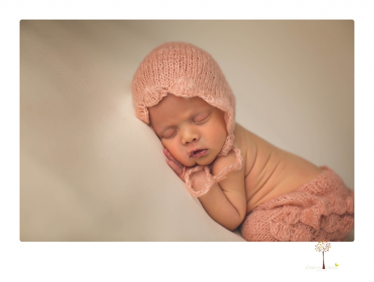 Best Sonora newborn photographer Christine Dibble Photography takes studio portraits of an early baby girl in pinks and creams.