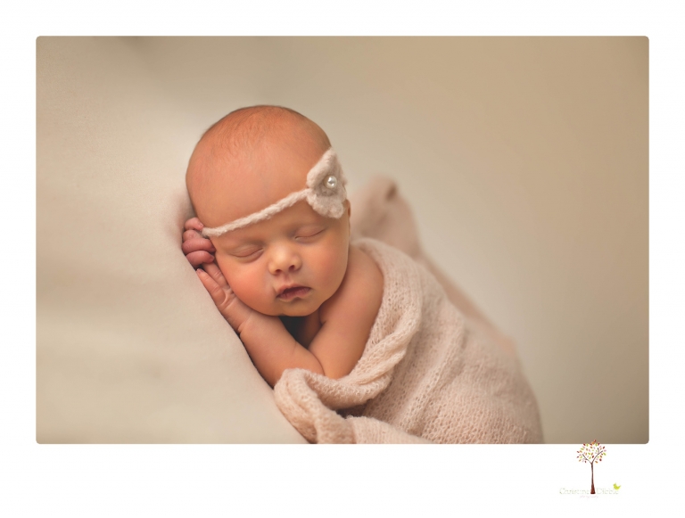 Best Sonora newborn photographer Christine Dibble Photography takes studio portraits of an early baby girl in pinks and creams.