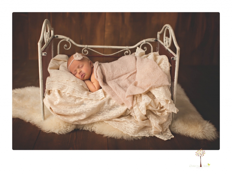 Best Sonora newborn photographer Christine Dibble Photography takes studio portraits of an early baby girl in pinks and creams.
