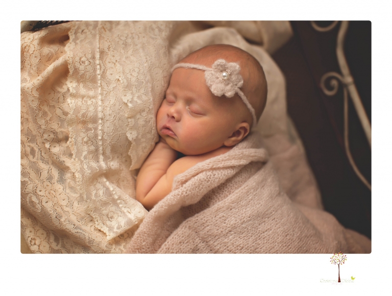 Best Sonora newborn photographer Christine Dibble Photography takes studio portraits of an early baby girl in pinks and creams.
