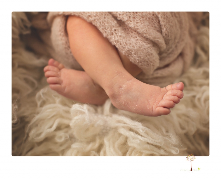 Best Sonora newborn photographer Christine Dibble Photography takes studio portraits of an early baby girl in pinks and creams.