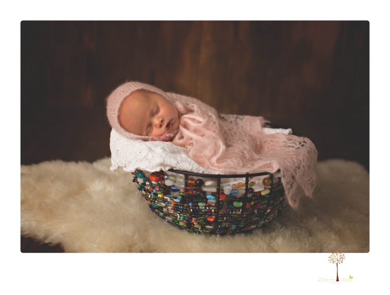 Best Sonora newborn photographer Christine Dibble Photography takes studio portraits of an early baby girl in pinks and creams.