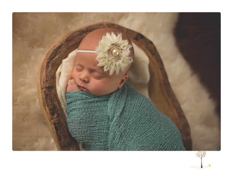 Best Sonora newborn photographer Christine Dibble Photography takes studio portraits of an early baby girl in pinks and creams.