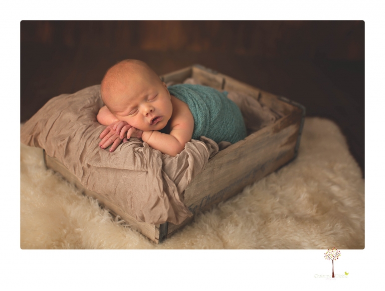 Best Sonora newborn photographer Christine Dibble Photography takes studio portraits of an early baby girl in pinks and creams.
