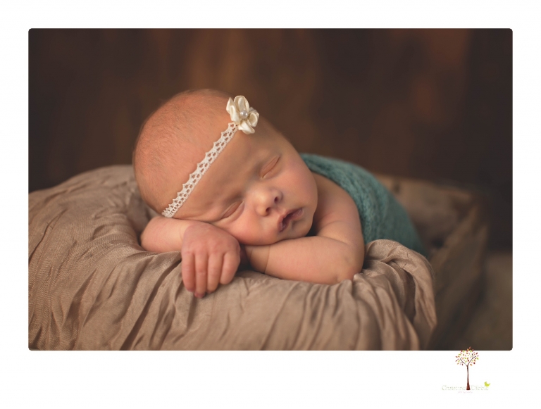 Best Sonora newborn photographer Christine Dibble Photography takes studio portraits of an early baby girl in pinks and creams.