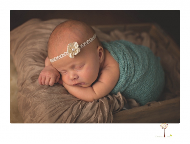Best Sonora newborn photographer Christine Dibble Photography takes studio portraits of an early baby girl in pinks and creams.