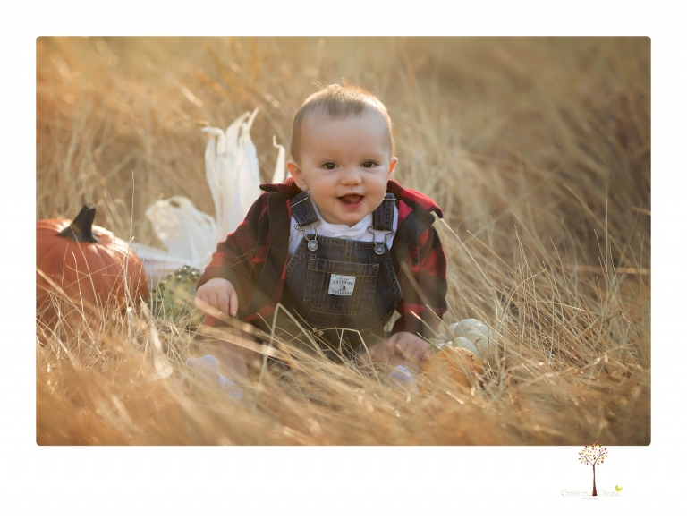 Sonora baby photographer Christine Dibble Photography takes photos of an eight month old baby boy in a field in Columbia with a stuffed dog and pumpkins.