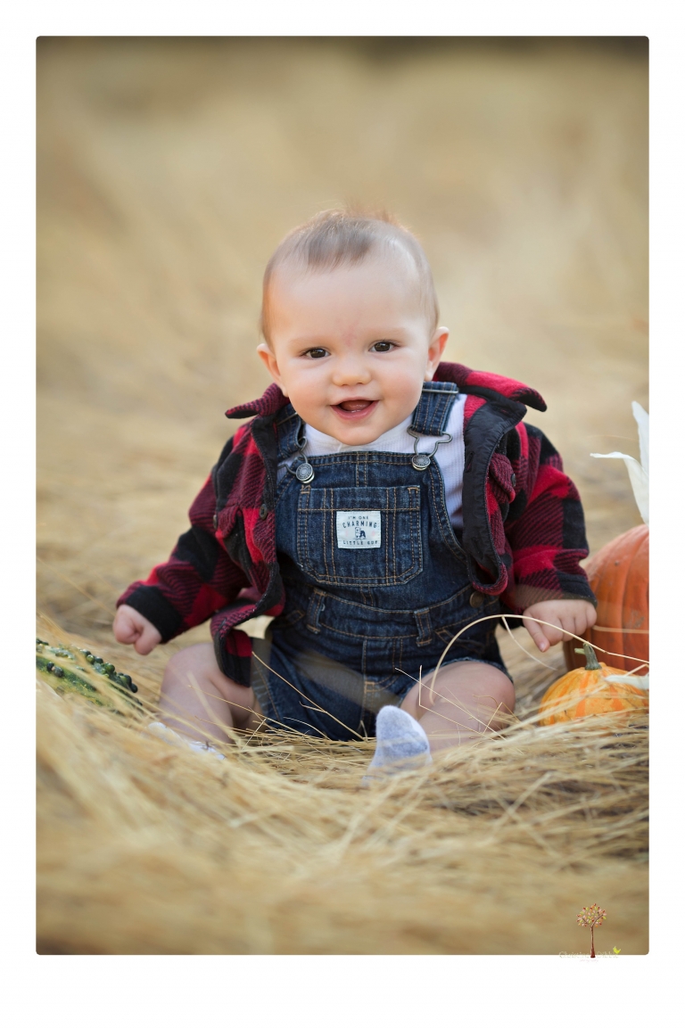 Sonora baby photographer Christine Dibble Photography takes photos of an eight month old baby boy in a field in Columbia with a stuffed dog and pumpkins.