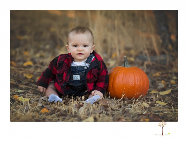 Sonora baby photographer Christine Dibble Photography takes photos of an eight month old baby boy in a field in Columbia with a stuffed dog and pumpkins.