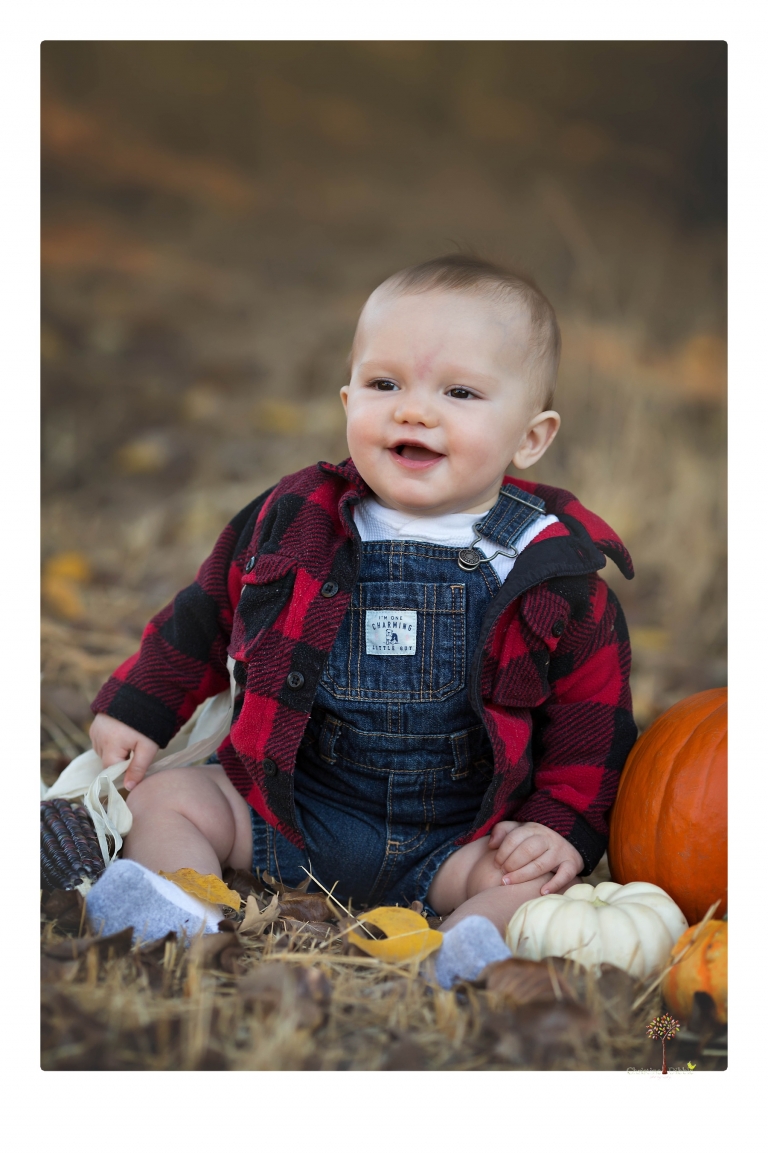 Sonora baby photographer Christine Dibble Photography takes photos of an eight month old baby boy in a field in Columbia with a stuffed dog and pumpkins.