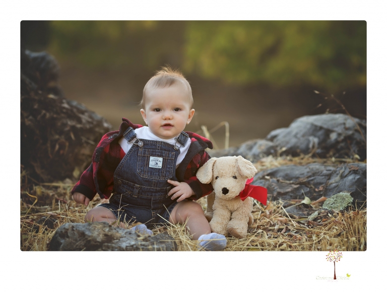 Sonora baby photographer Christine Dibble Photography takes photos of an eight month old baby boy in a field in Columbia with a stuffed dog and pumpkins.