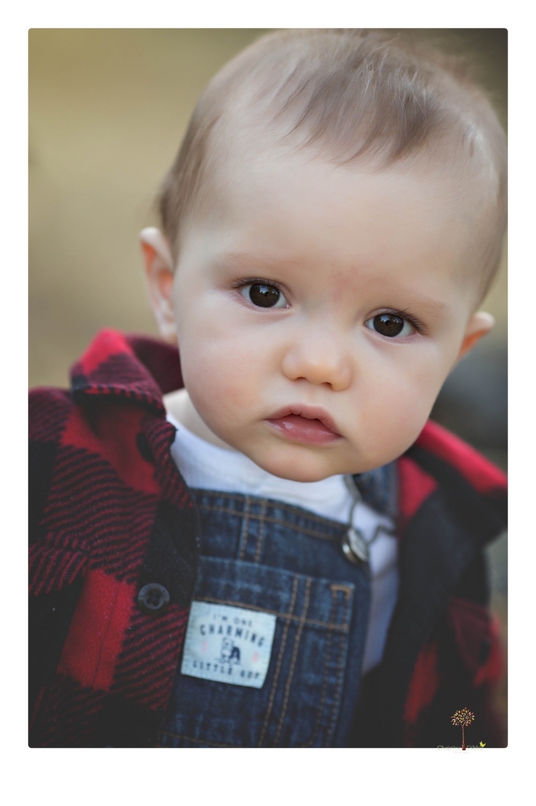 Sonora baby photographer Christine Dibble Photography takes photos of an eight month old baby boy in a field in Columbia with a stuffed dog and pumpkins.