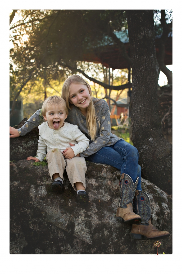 Sonora family photographer Christine Dibble Photography takes family portraits in a private vineyard as a family plays and climbs trees and rocks.
