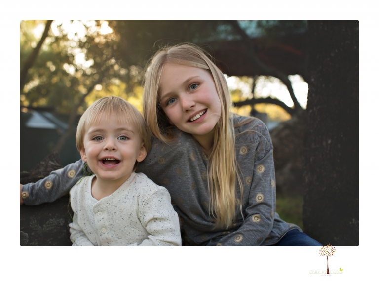 Sonora family photographer Christine Dibble Photography takes family portraits in a private vineyard as a family plays and climbs trees and rocks.