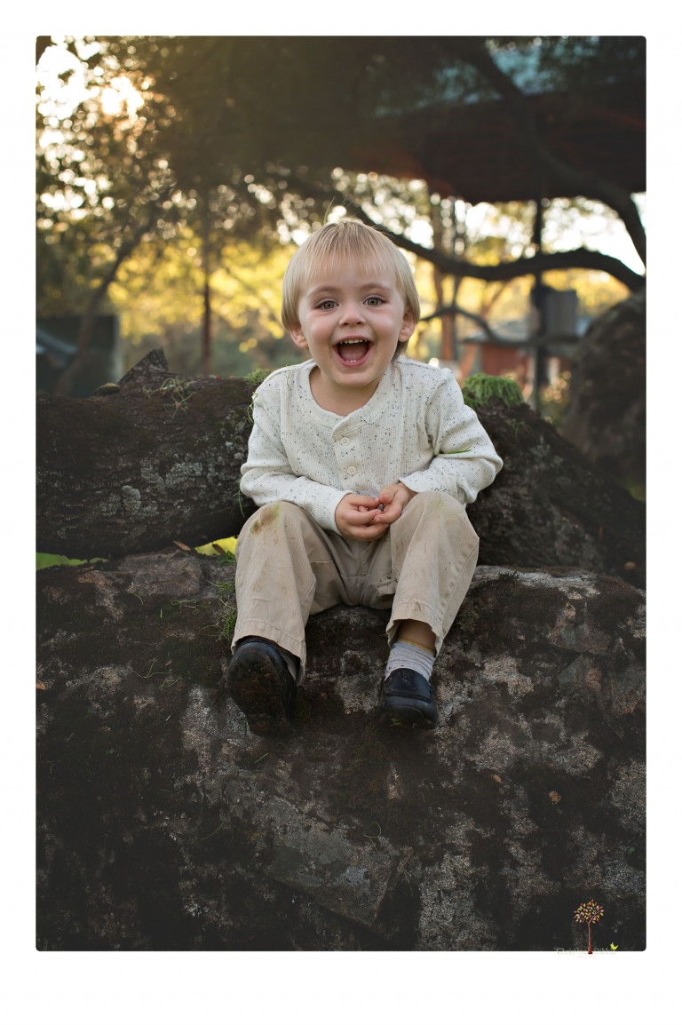 Sonora family photographer Christine Dibble Photography takes family portraits in a private vineyard as a family plays and climbs trees and rocks.
