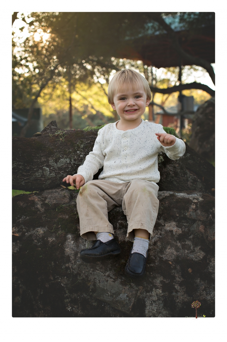Sonora family photographer Christine Dibble Photography takes family portraits in a private vineyard as a family plays and climbs trees and rocks.