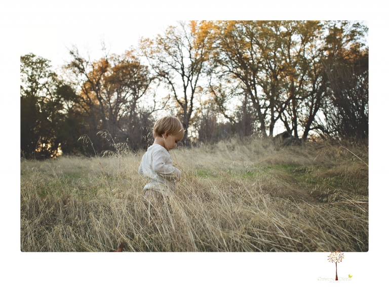 Sonora family photographer Christine Dibble Photography takes family portraits in a private vineyard as a family plays and climbs trees and rocks.