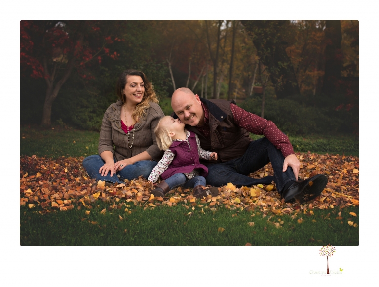 Murphys family photographer Christine Dibble Photography takes family portraits in the fall at Ironstone Vineyards of a family and grandparents as they play in colored leaves.