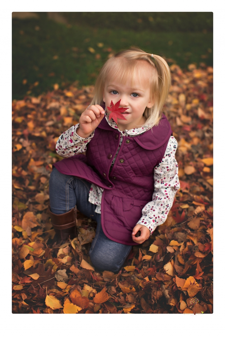 Murphys family photographer Christine Dibble Photography takes family portraits in the fall at Ironstone Vineyards of a family and grandparents as they play in colored leaves.