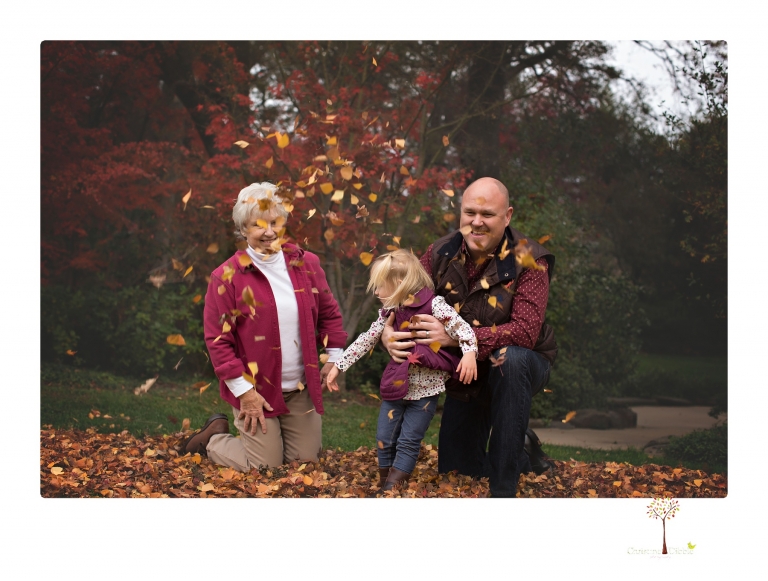 Murphys family photographer Christine Dibble Photography takes family portraits in the fall at Ironstone Vineyards of a family and grandparents as they play in colored leaves.