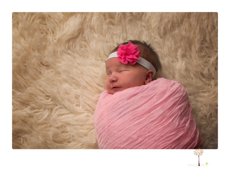 Best Sonora newborn photographer Christine Dibble Photography takes newborn portraits in her studio of a new baby sister and her big brothers and parents.
