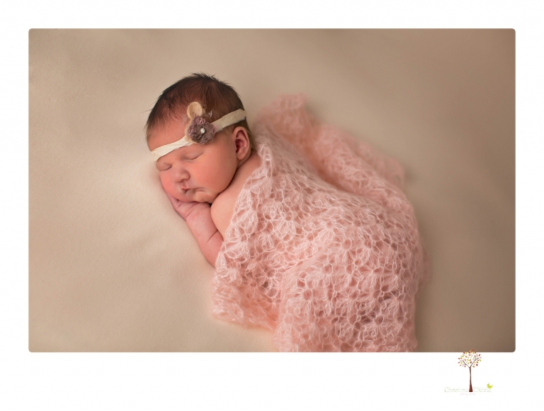 Best Sonora newborn photographer Christine Dibble Photography takes newborn portraits in her studio of a new baby sister and her big brothers and parents.