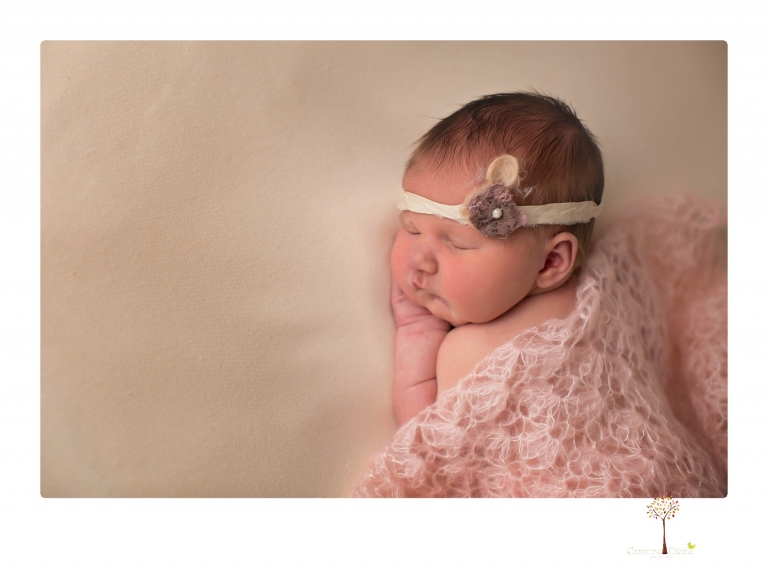Best Sonora newborn photographer Christine Dibble Photography takes newborn portraits in her studio of a new baby sister and her big brothers and parents.