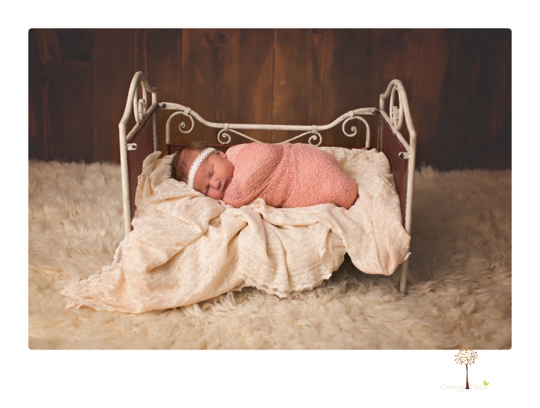 Best Sonora newborn photographer Christine Dibble Photography takes newborn portraits in her studio of a new baby sister and her big brothers and parents.