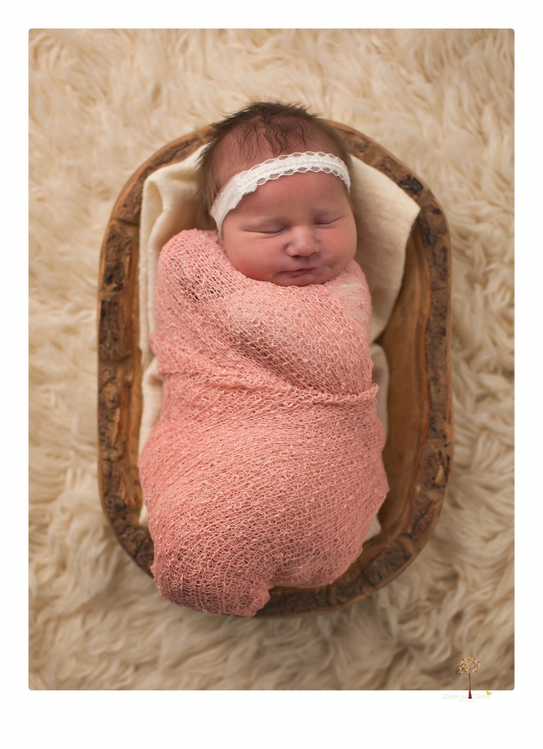 Best Sonora newborn photographer Christine Dibble Photography takes newborn portraits in her studio of a new baby sister and her big brothers and parents.