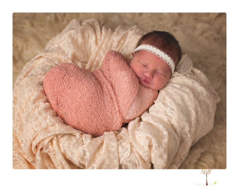 Best Sonora newborn photographer Christine Dibble Photography takes newborn portraits in her studio of a new baby sister and her big brothers and parents.