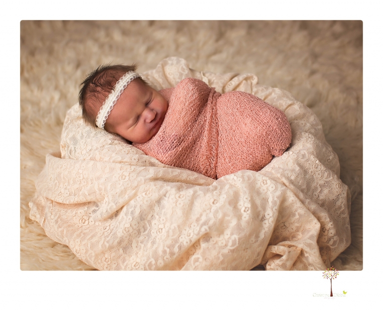 Best Sonora newborn photographer Christine Dibble Photography takes newborn portraits in her studio of a new baby sister and her big brothers and parents.