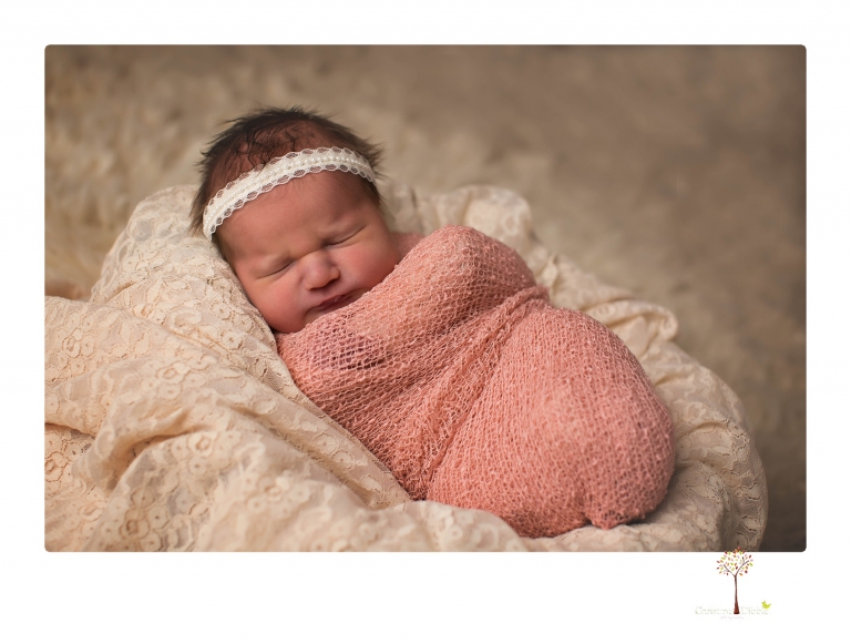 Best Sonora newborn photographer Christine Dibble Photography takes newborn portraits in her studio of a new baby sister and her big brothers and parents.