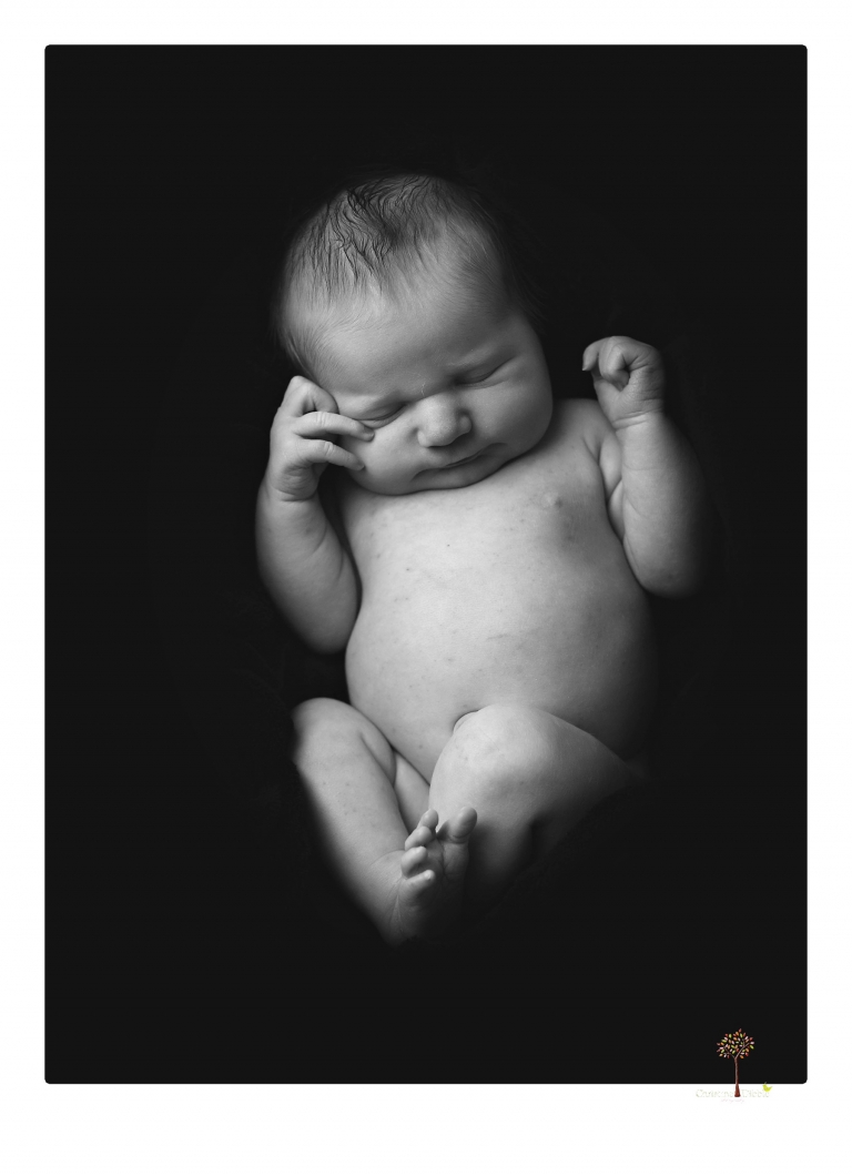 Best Sonora newborn photographer Christine Dibble Photography takes newborn portraits in her studio of a new baby sister and her big brothers and parents.