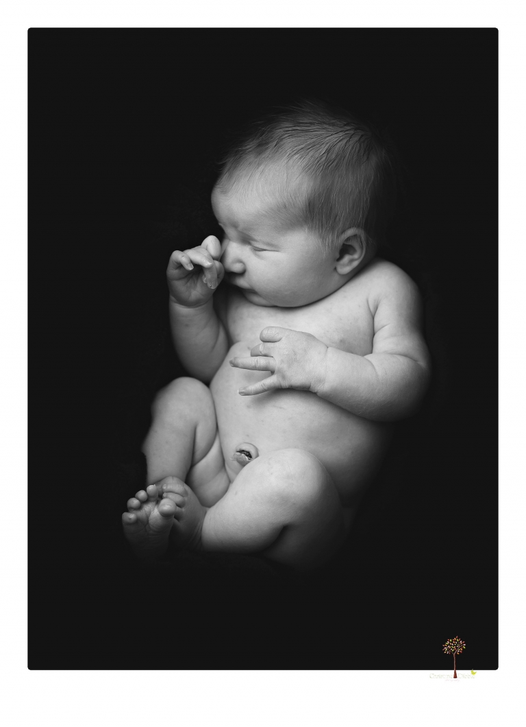 Best Sonora newborn photographer Christine Dibble Photography takes newborn portraits in her studio of a new baby sister and her big brothers and parents.