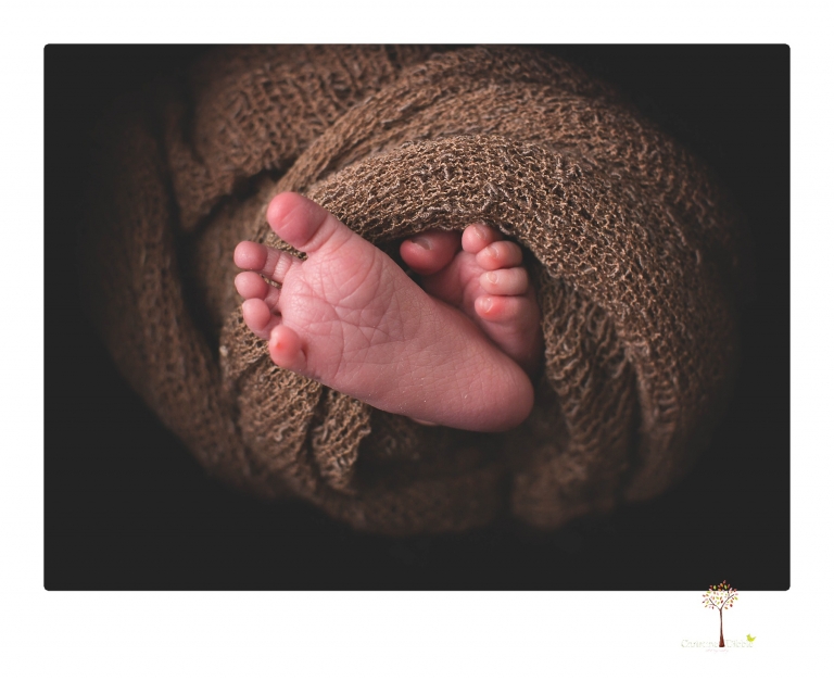 Best Sonora newborn photographer Christine Dibble Photography takes newborn portraits in her studio of a new baby sister and her big brothers and parents.